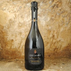 Vin italien pétillant, découvrez le Prosecco